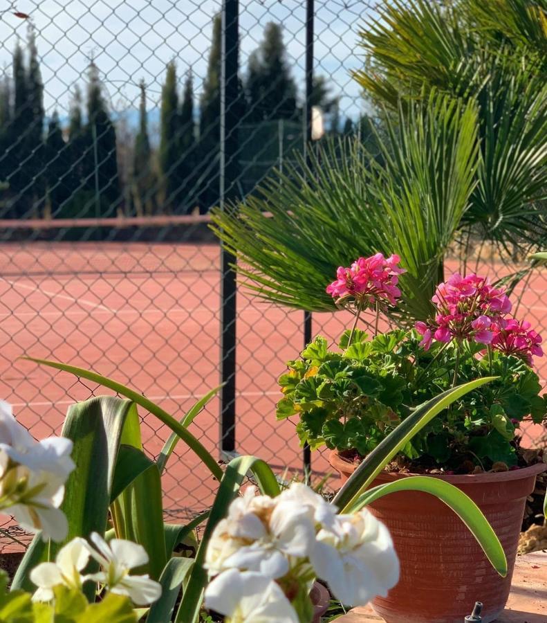Torcales Del Lobo Apartamentos Rurales Pozo Alcón Kültér fotó